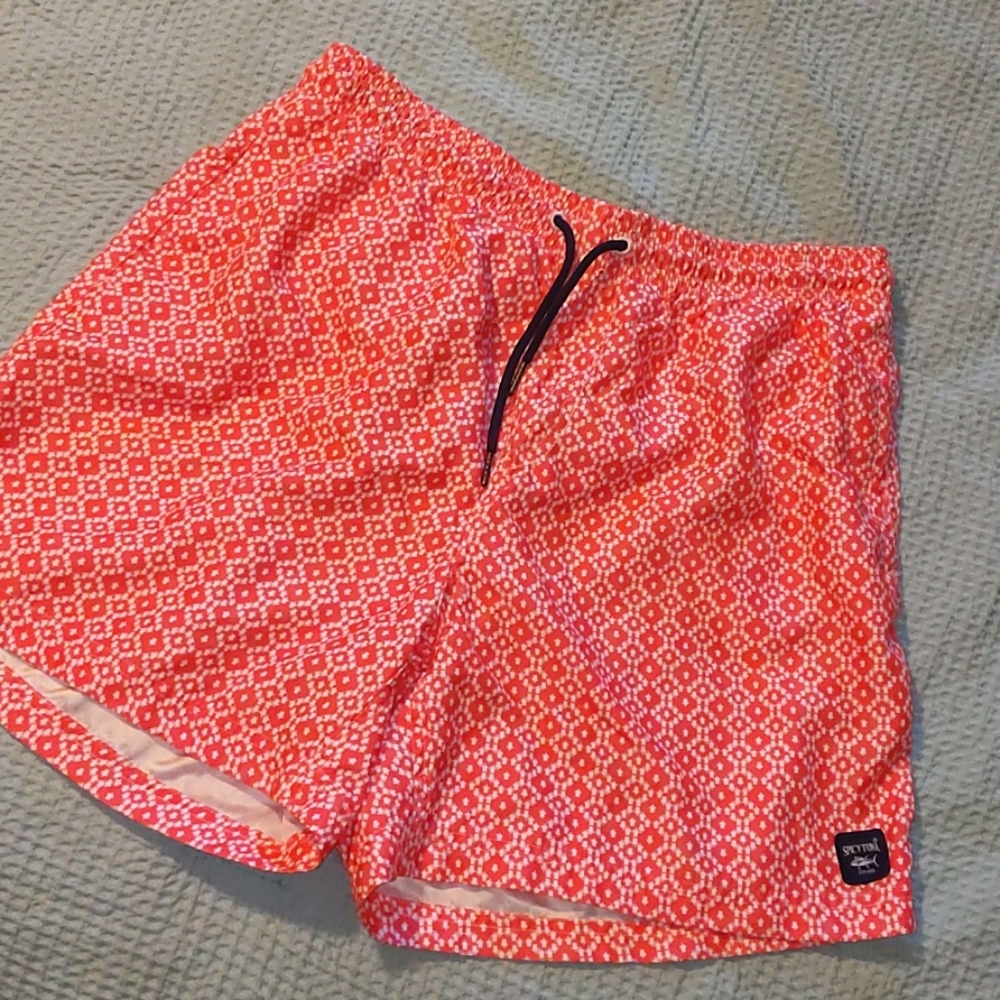 Men's Swim Shorts 🐢